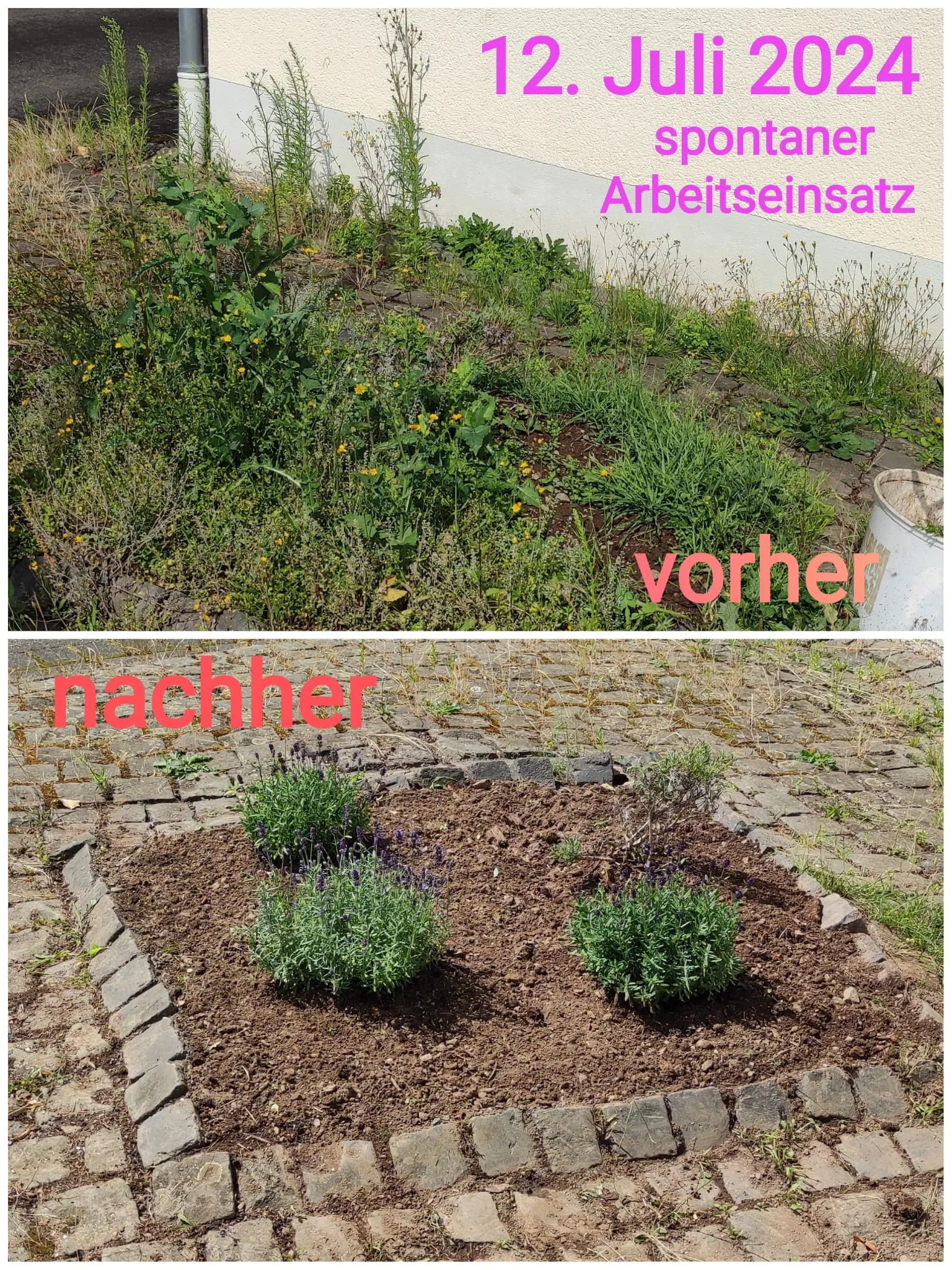 Verwildertes Beet vor und nach der Neugestaltung