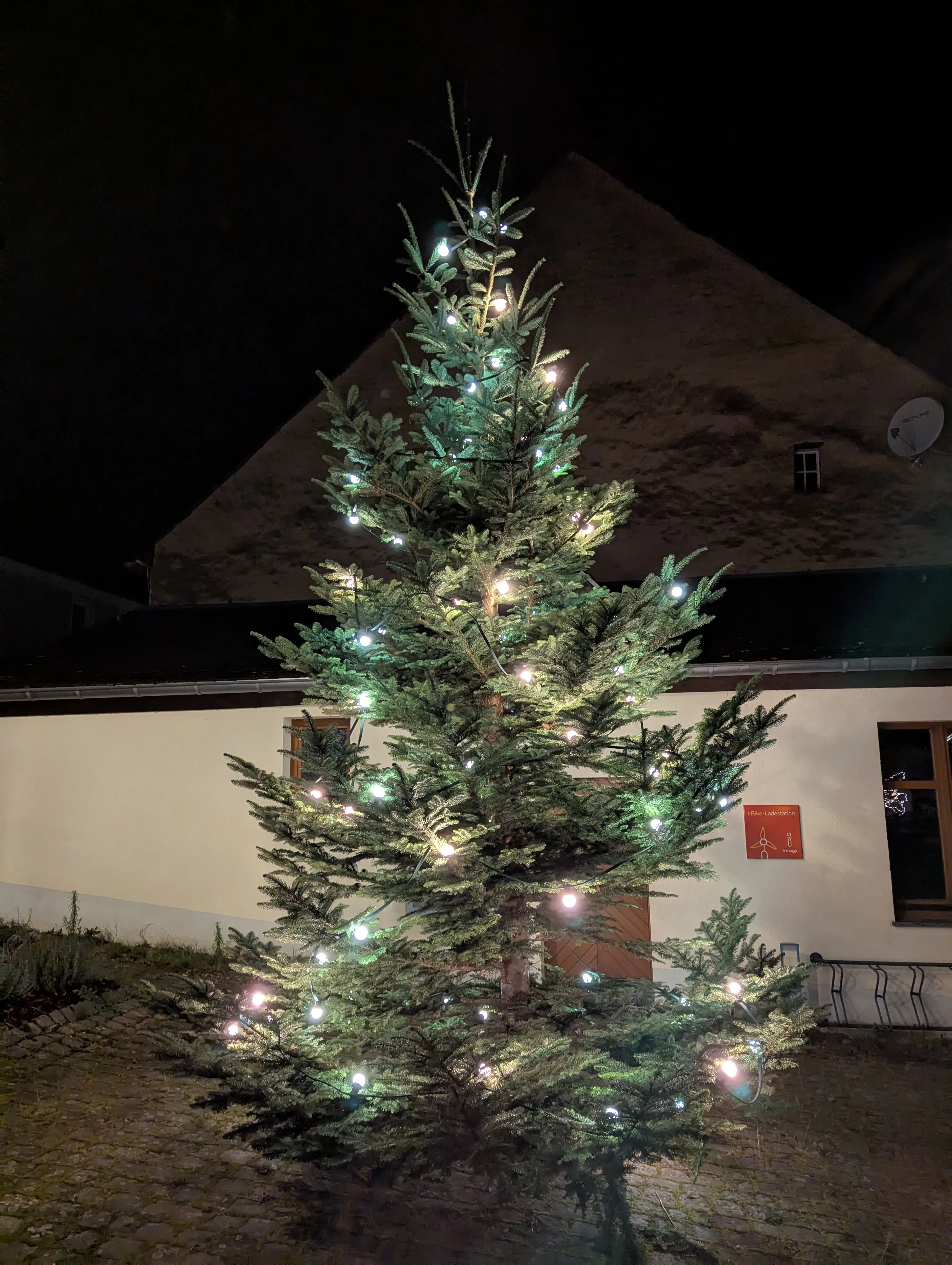 Beleuchteter Weihnachtsbaum bei Nacht vor einem Gebäude