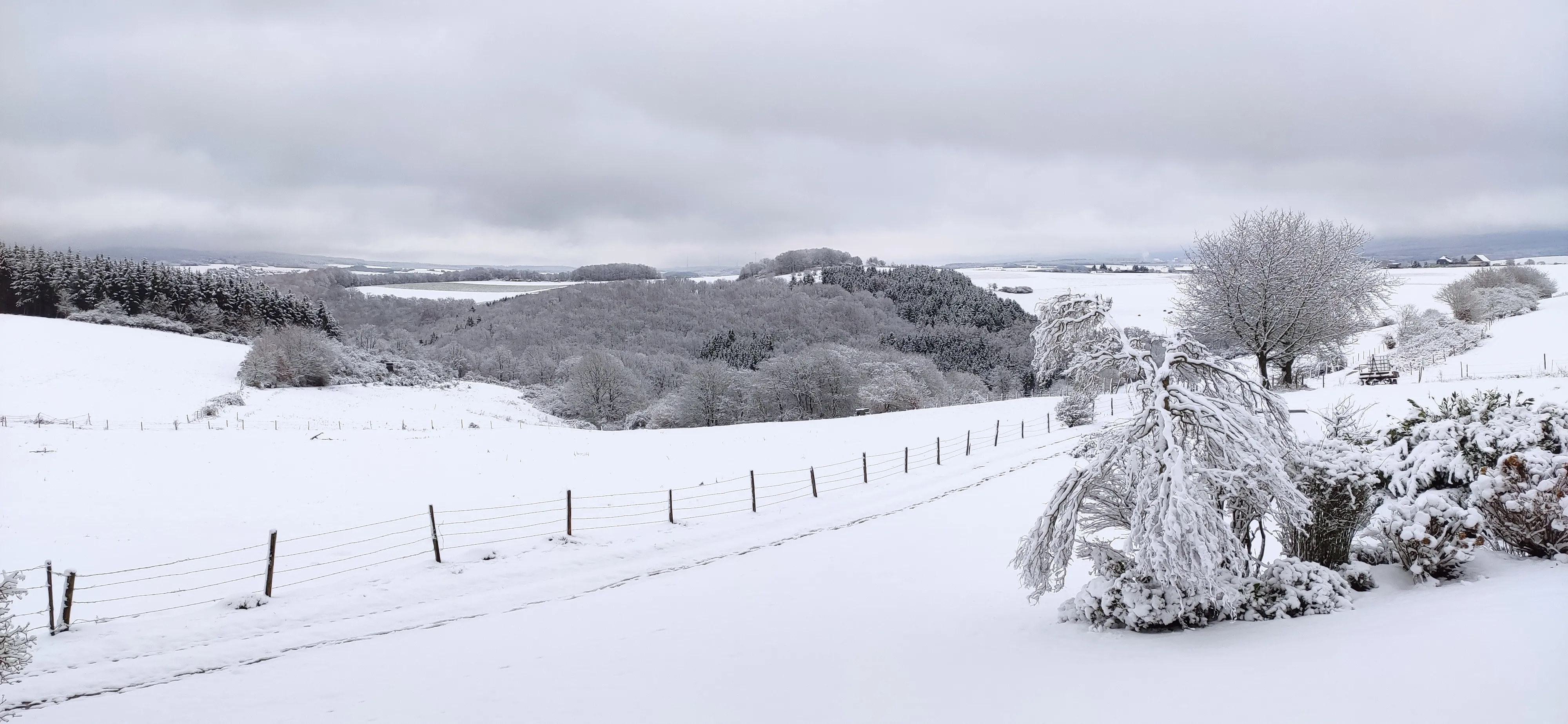 Verschneite Hügellandschaft mit Zaun und Bäumen rund um Gielert