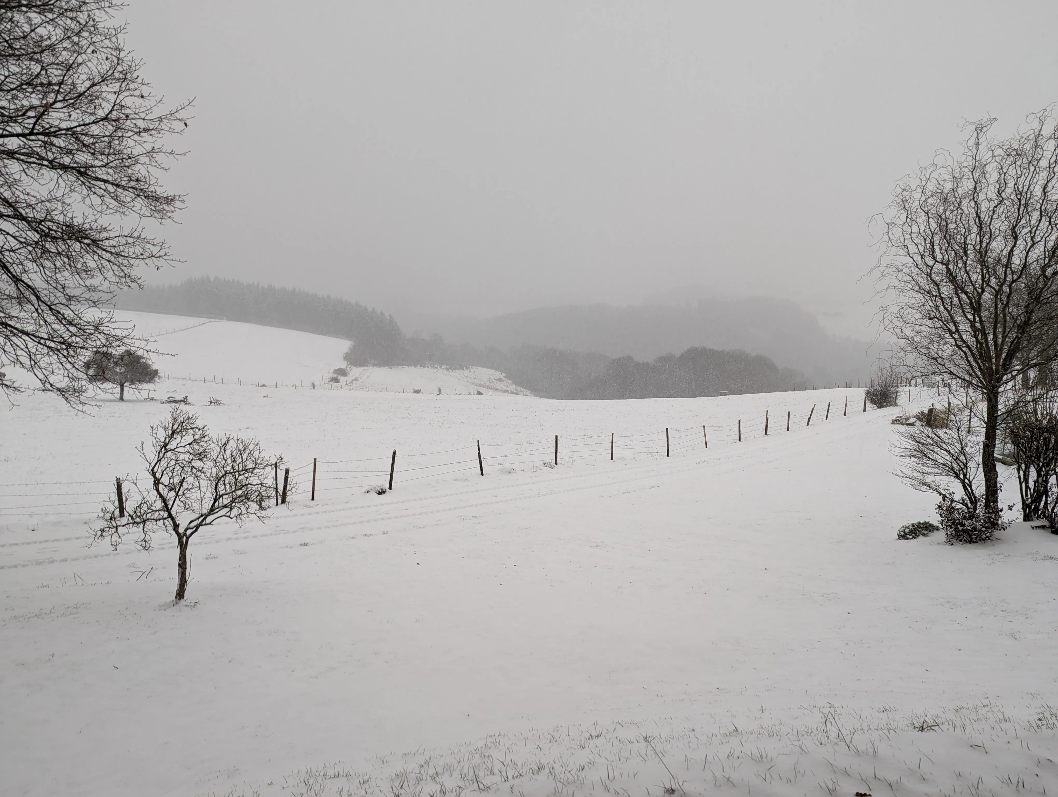 Verschneite Felder und kahle Bäume bei dichtem Schneefall
